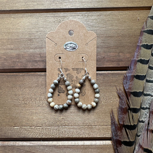 Petoskey Stone Earrings