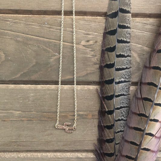 Dry Gulch - Cactus Choker Necklace