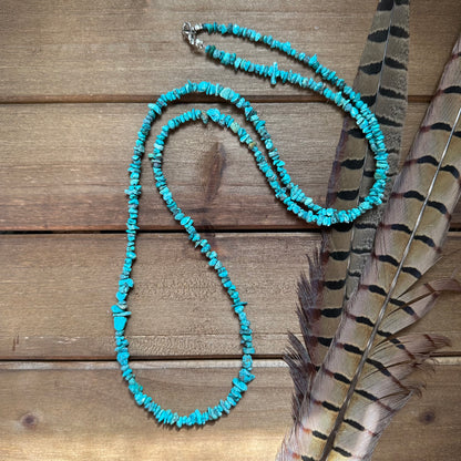 Long Turquoise Chip Necklace